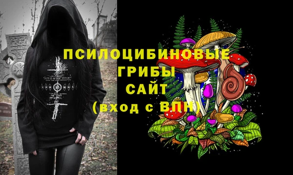 таблы Алзамай