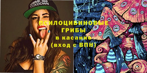 твердый Алексеевка