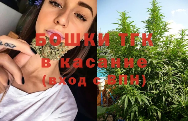 твердый Алексеевка