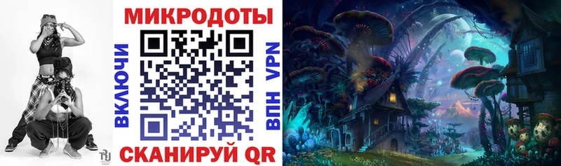 Галлюциногенные грибы ЛСД  KRAKEN зеркало  Грязовец 