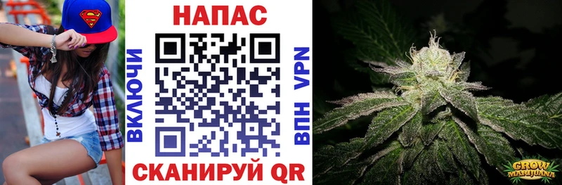наркошоп  Грязовец  МАРИХУАНА семена 